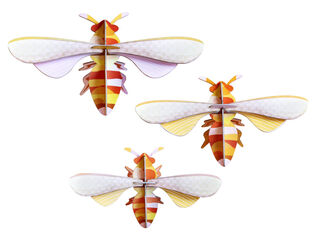 3D-Wandobjekte "Honey Bees" aus recyceltem Karton, DIY, 3er-Set