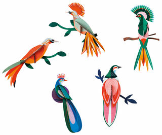 3D-Wandobjekte "Paradiesvögel" aus recyceltem Karton, DIY, 5er-Set
