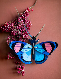 3D-Wandobjekt "Peacook Butterfly" aus recyceltem Karton, DIY von studio ROOF