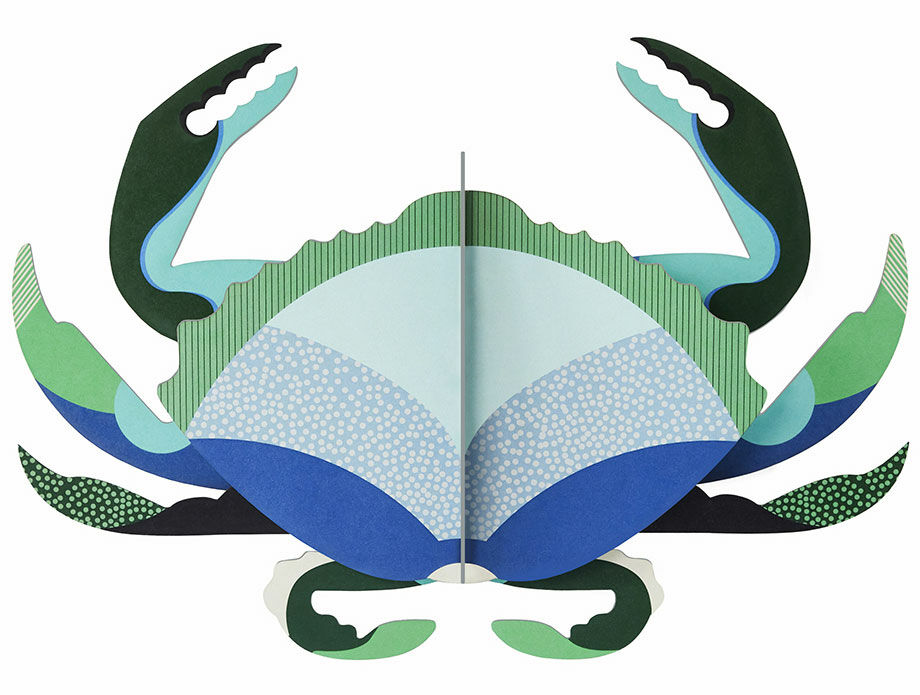 3D-Wandobjekt "Aquamarine Crab" aus recyceltem Karton, DIY von studio ROOF