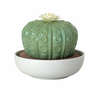 Diffuser "Astrophytum Cactus", Porzellan